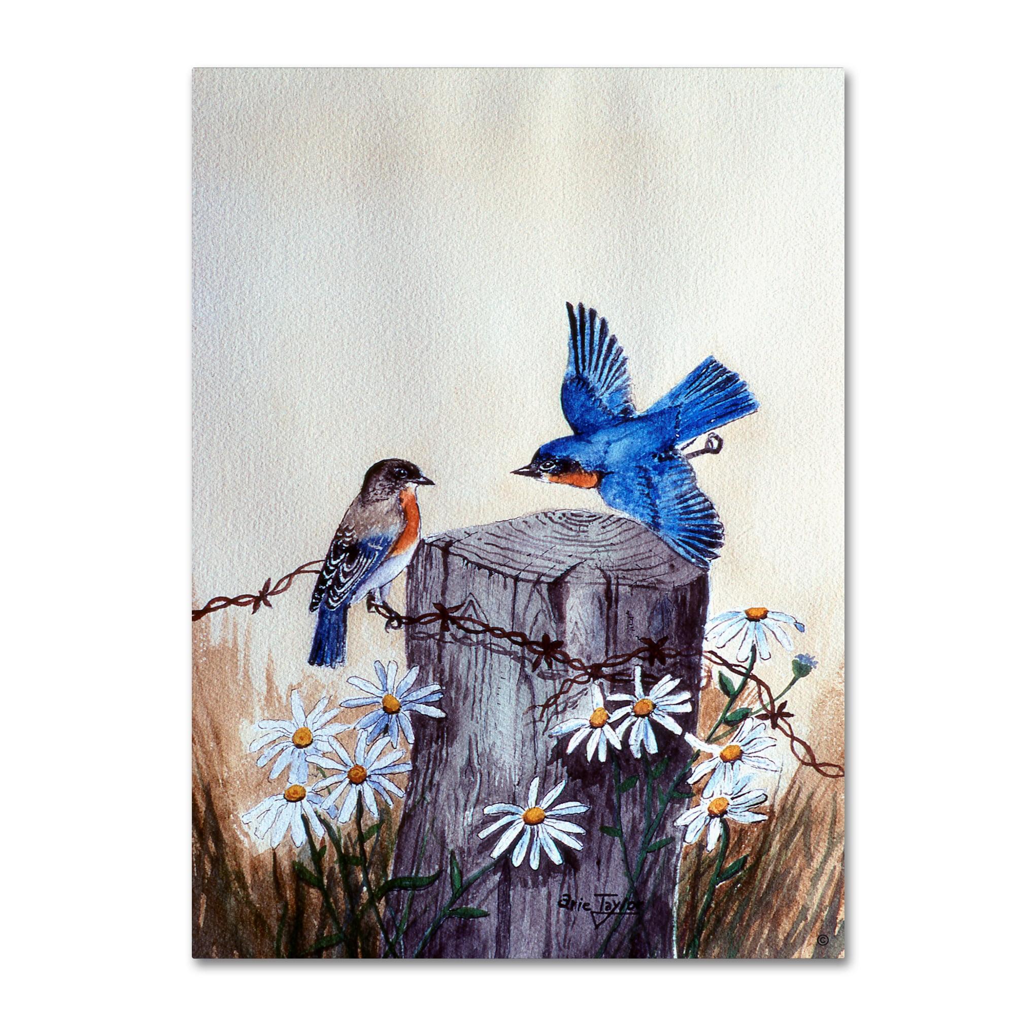 Arie Reinhardt Taylor " Bluebirds With Daisies 3 " by Arie Reinhardt Taylor Painting Print