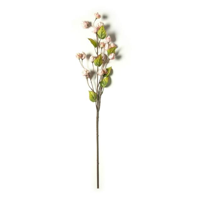 Blush Hops Stem by Ashland®