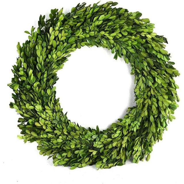 Alby Preserved Boxwood Real Greenery Wreath