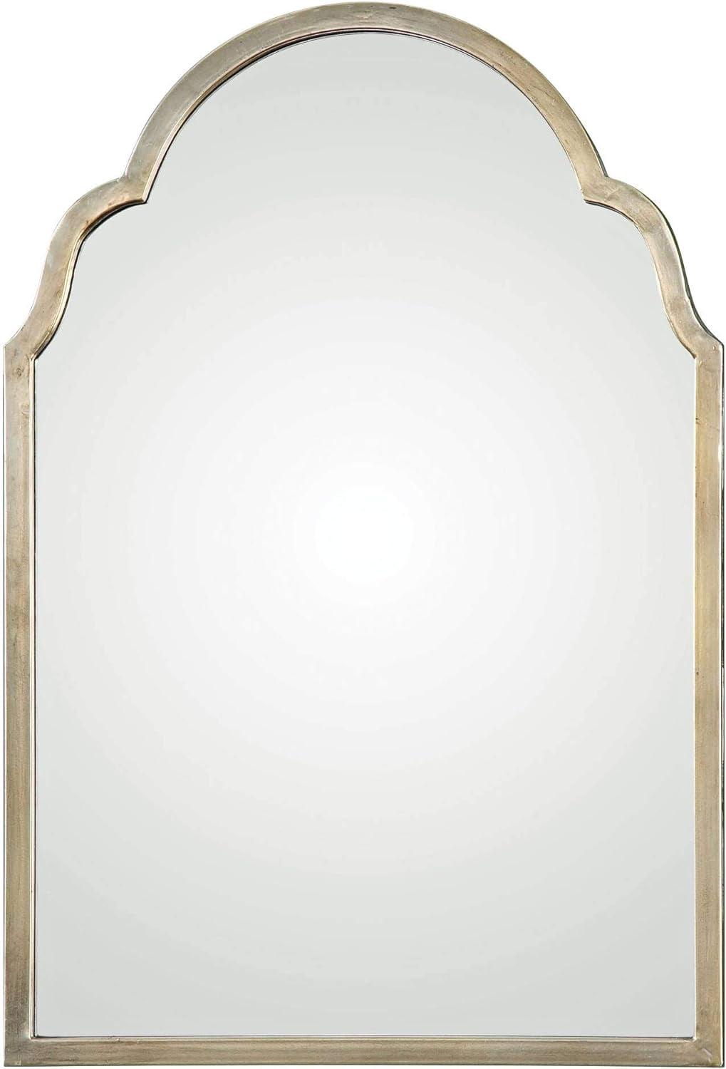 Transitional Silver Champagne Oxidized 20"x30" Rectangular Wall Mirror