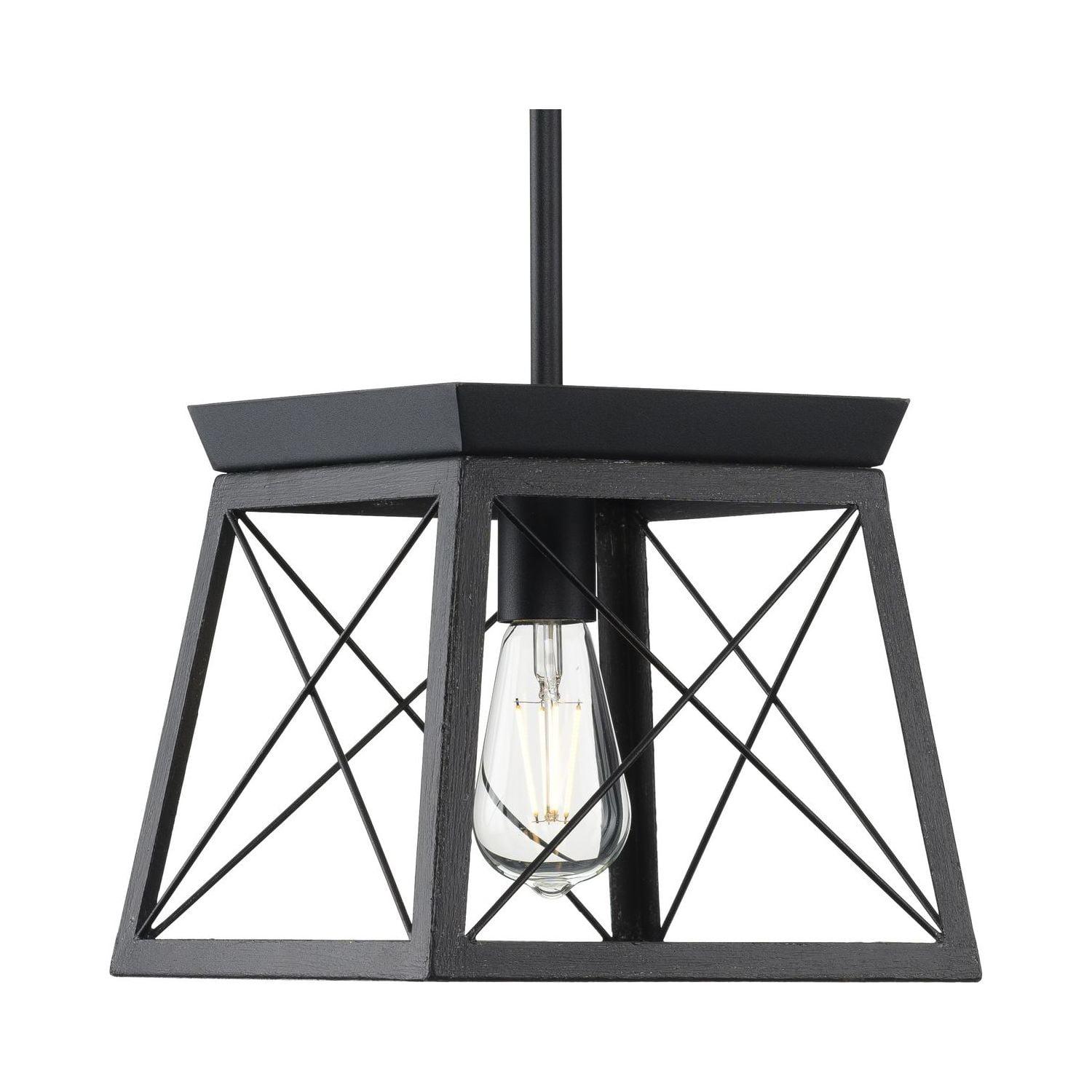 Progress Lighting Briarwood 1-Light Mini-Pendant, Steel, Textured Black, Faux-Painted Wood Enclosure