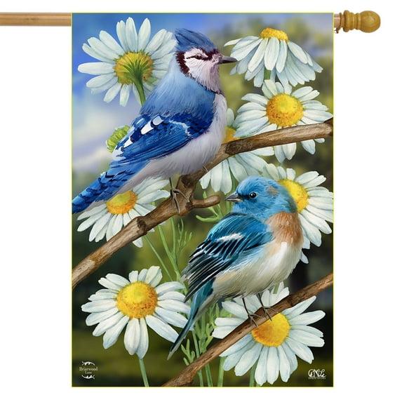 Briarwood Lane Spring House Flag 40x28 For Outdoor Birds and Daisies For Spring House Flag