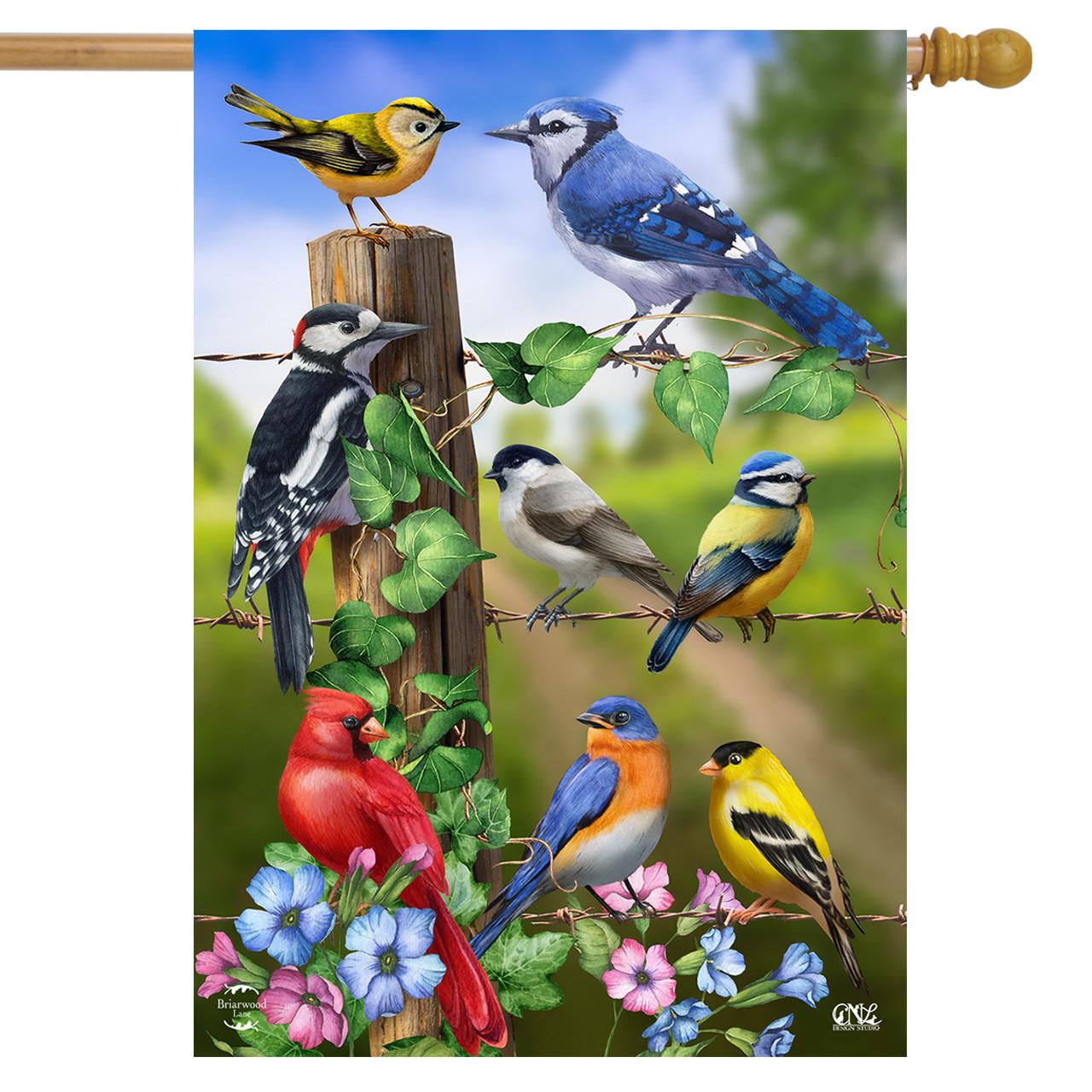 Country Birds Spring House Flag Goldfinches Blue Jay 28" x 40" Briarwood Lane