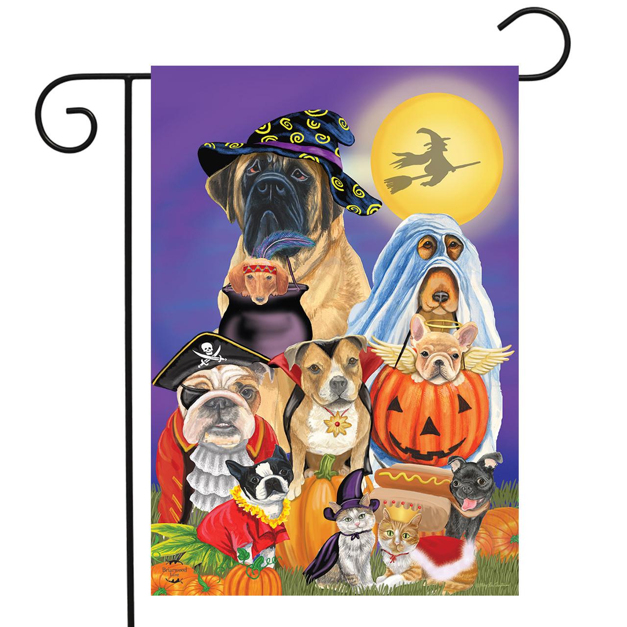 Briarwood Lane Garden Flag 12x18 For Outdoor Trick Or Treat Dogs Halloween For Halloween Garden Flag Flags For Outside