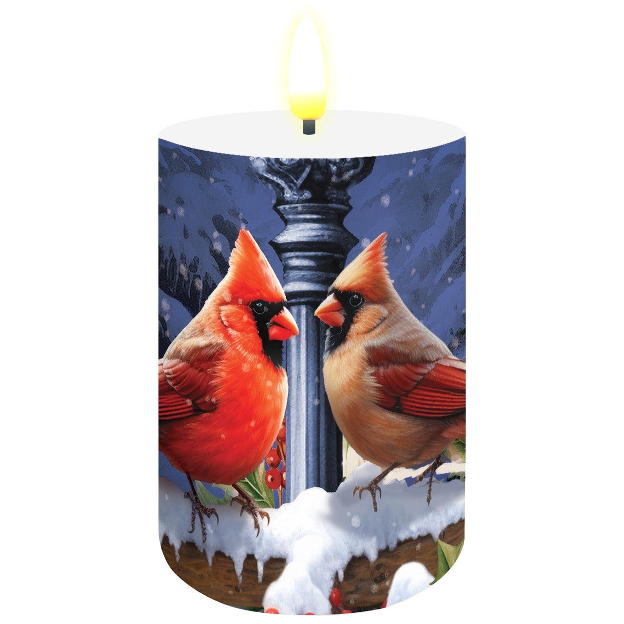 Briarwood Lane Winter Flameless Candle 6x3 Winter Glow Cardinals Flameless Candle with Timer for Winter