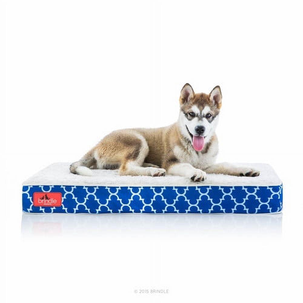 Tucker Murphy Pet™ Cottrell Waterproof Designer Pillow