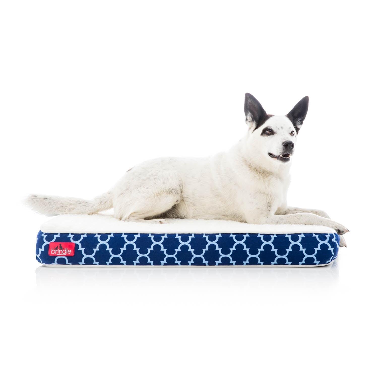 Tucker Murphy Pet™ Cottrell Waterproof Designer Pillow