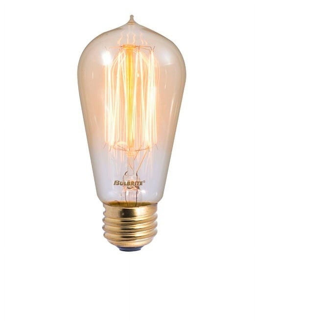 40 Watt Dimmable Nostalgic Edison Squirrel Cage-Style ST18 Light Bulb