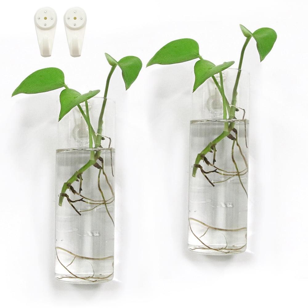 Clear Borosilicate Glass Wall Hanging Plant Terrarium Set