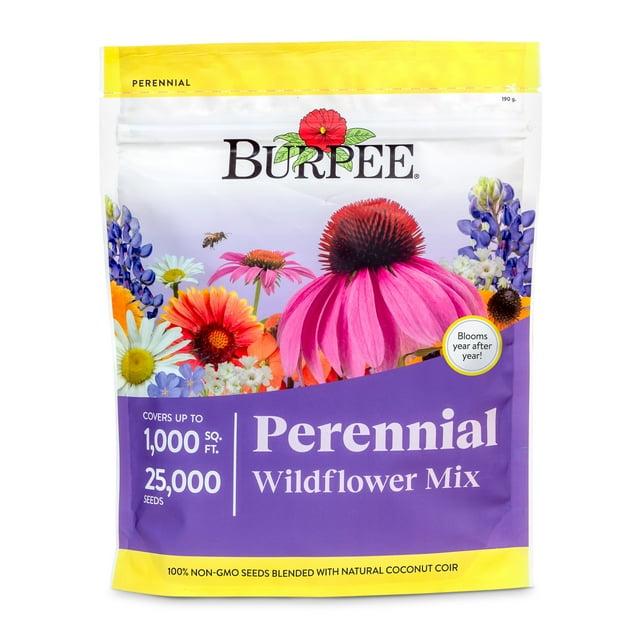 Burpee Perennial Wildflower Seeds Mix – Non-GMO, Attracts Pollinators, Perennial Flowers, 50,000 Seeds, 1 Bag