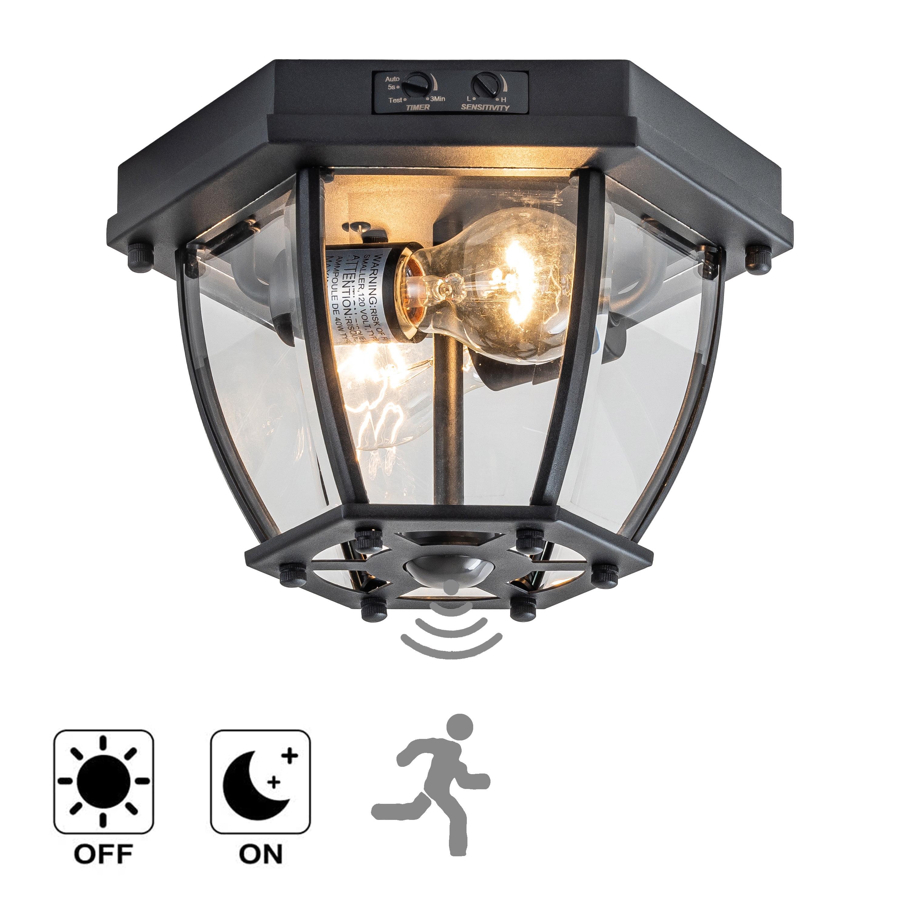 Matte Black 2-Light Outdoor Flush Mount with Clear Glass