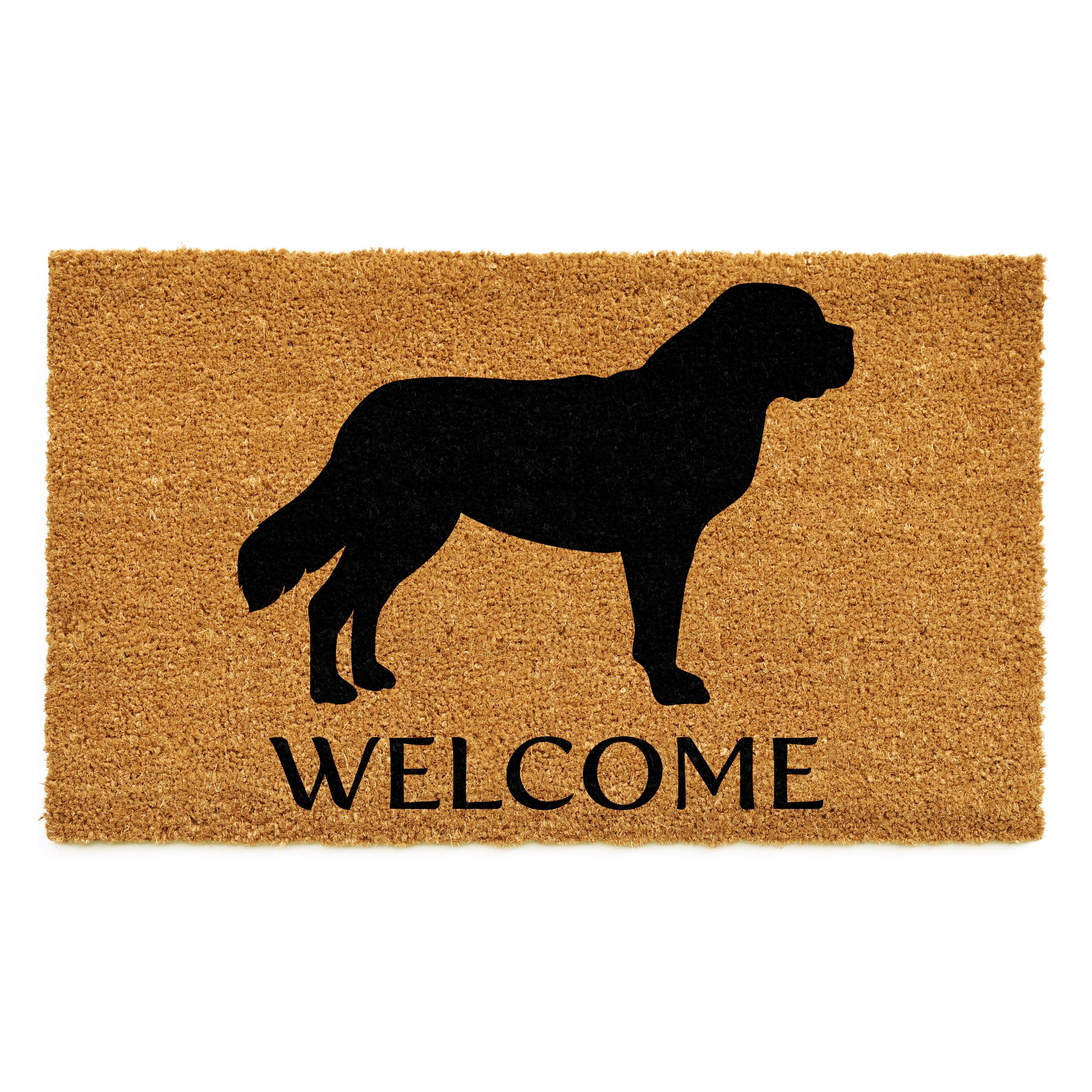 Red Barrel Studio® Non-Slip Indoor Doormat