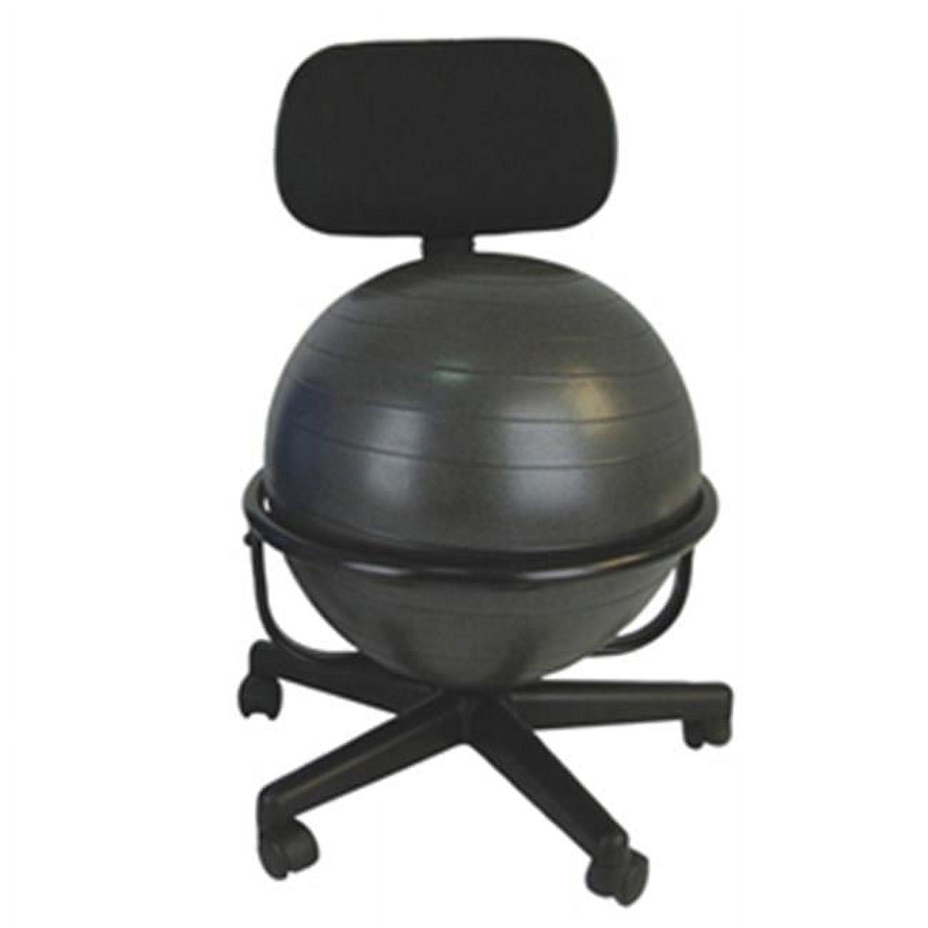 Black Ergonomic Swivel Armless Metal Ball Chair