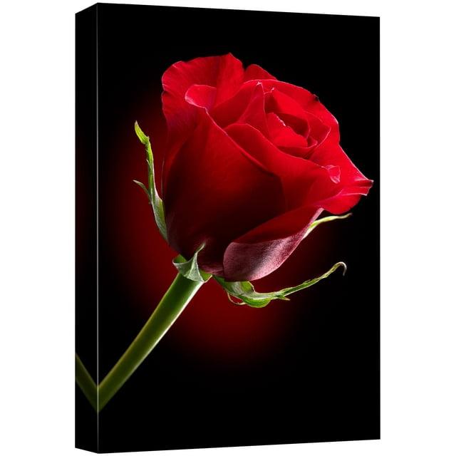 Canvas Prints Wall Art - Closeup of Red Rose Flower Against Black Background | Modern Wall Decor/Home Decoration Stretched Gallery Canvas Wrap Giclee Print & Ready to Hang - 32" x 48"
