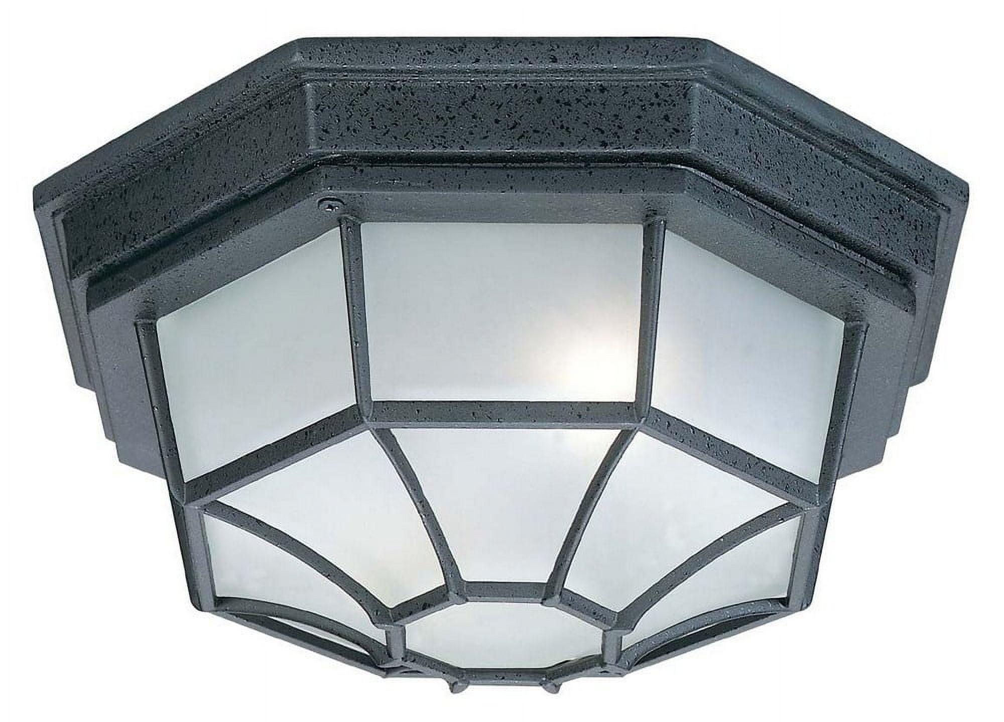 Black Frosted Glass 2-Light Outdoor Flush Mount