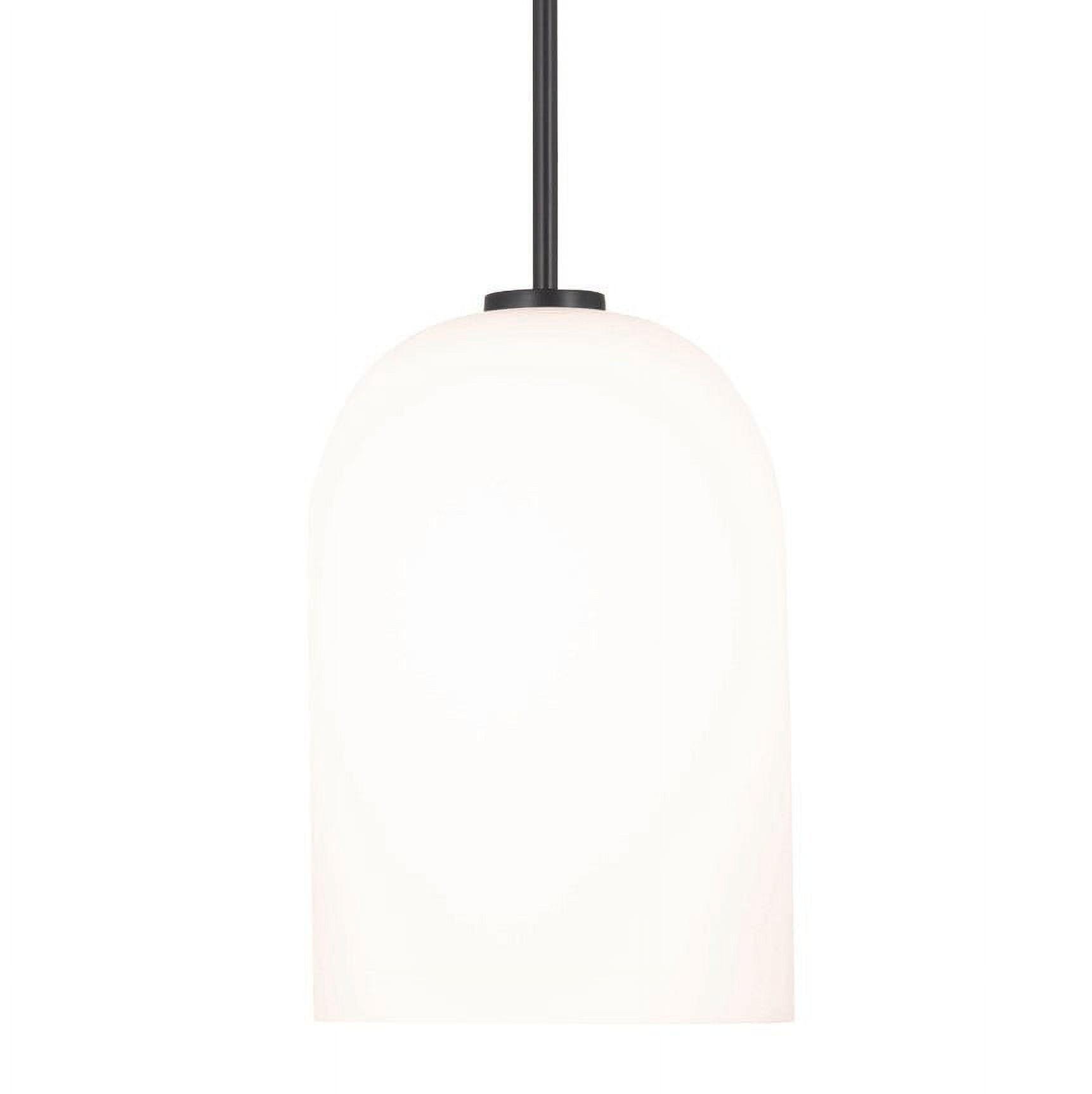 Matte Black Glass and Nickel Indoor/Outdoor Pendant Light