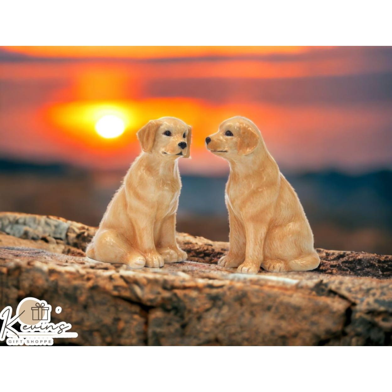 Cosmos Gifts Labrador Salt And Pepper Shaker Set