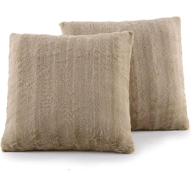 Cheer Collection FRBIN Square Pillow Cover & Insert (Set of 2)