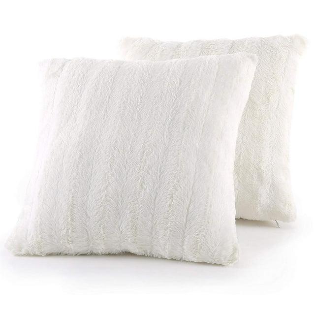 Cheer Collection FRBIN Square Pillow Cover & Insert (Set of 2)