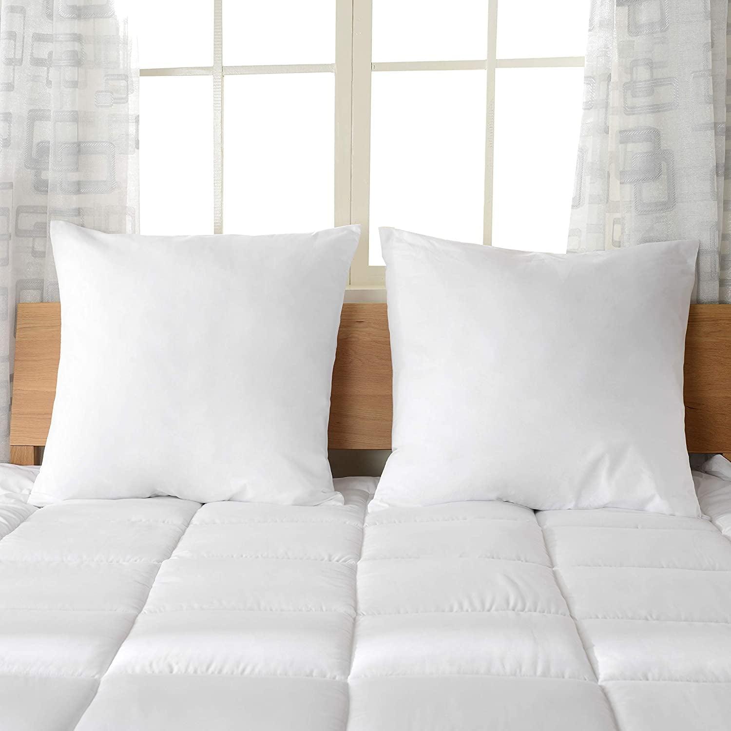 Throw Pillow (Set of 2)