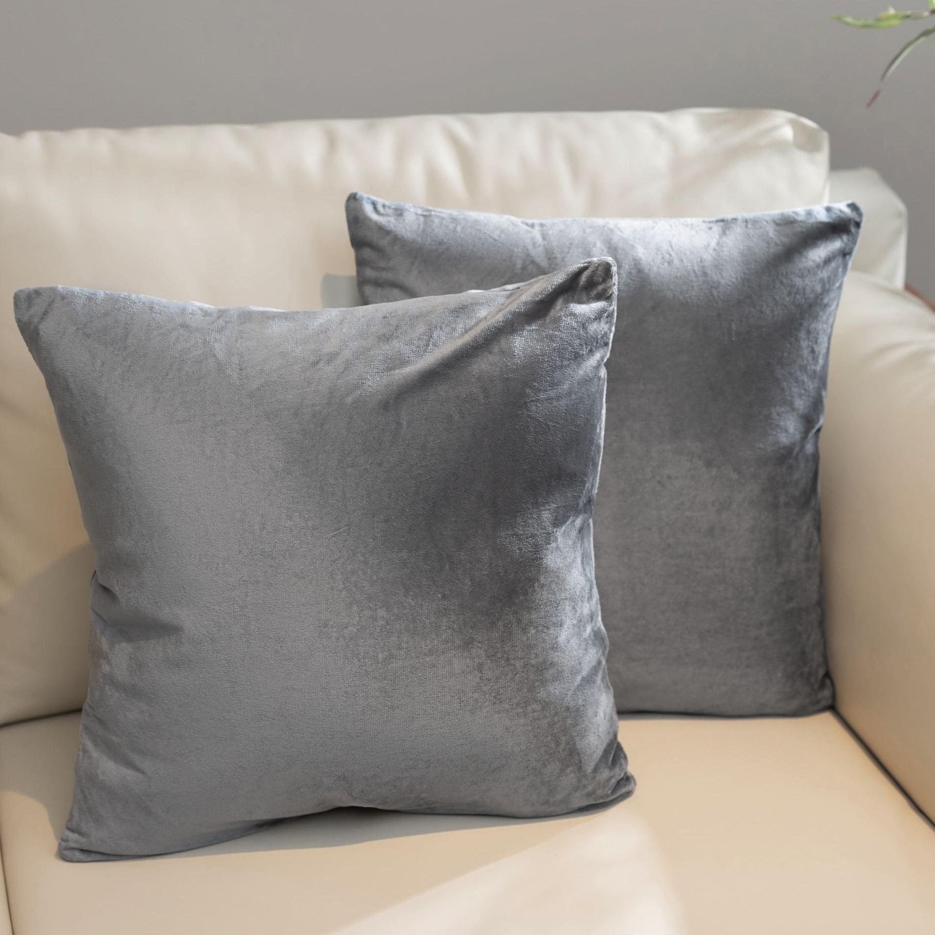 Throw Pillow (Set of 2)