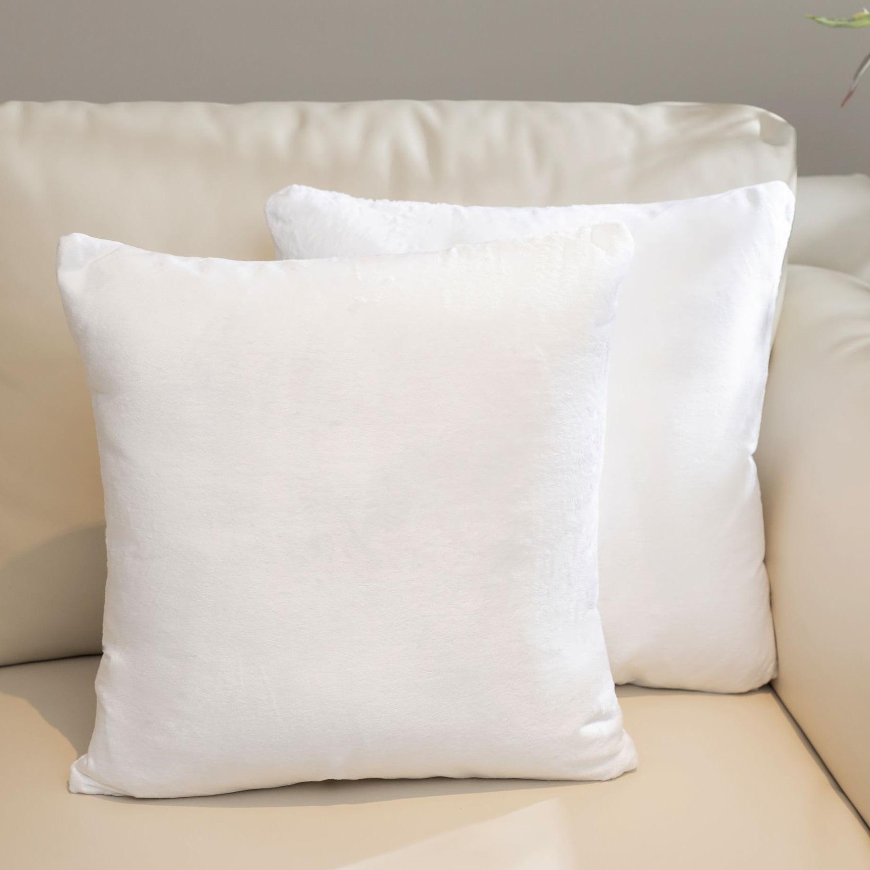 Throw Pillow (Set of 2)