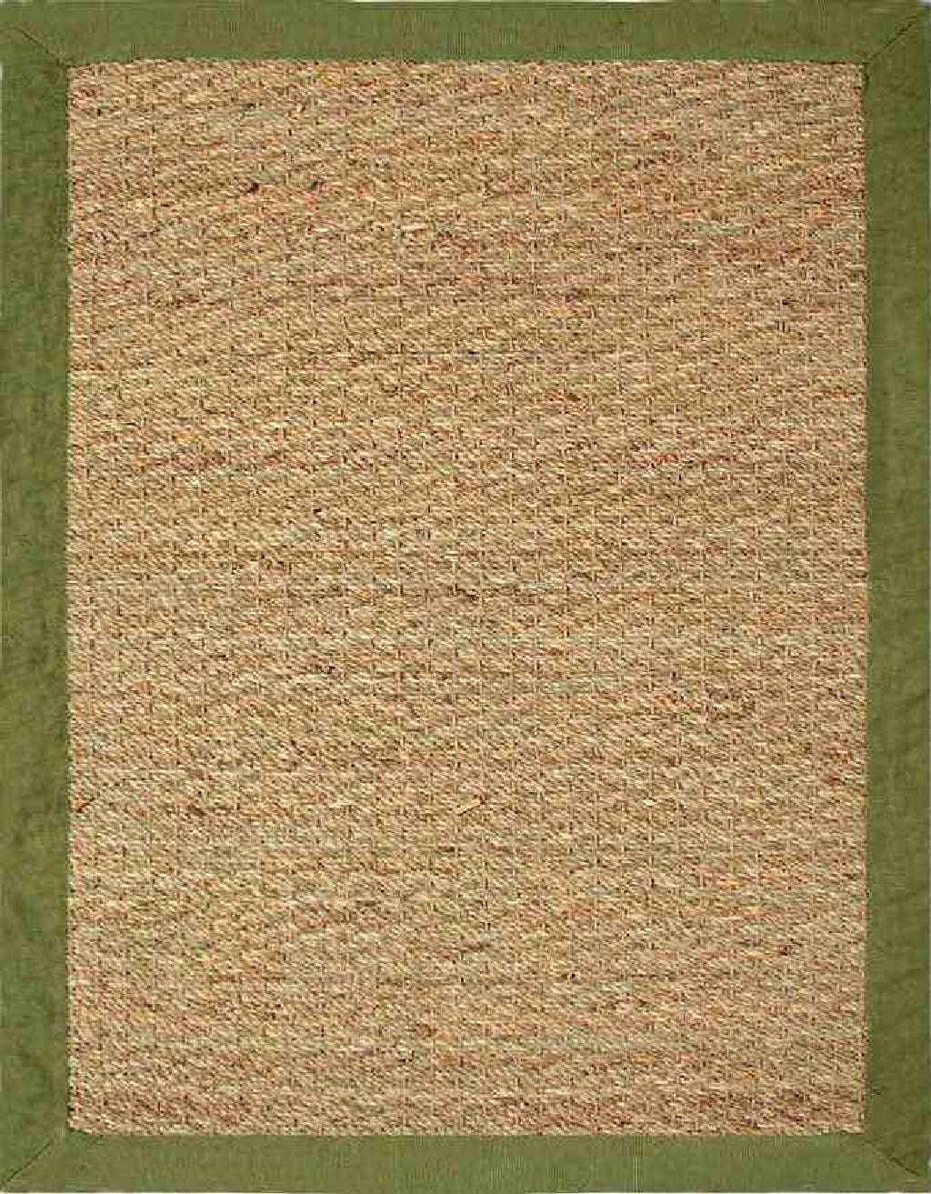 Chesapeake Seagrass Area Rug with Sage border (5'x7')