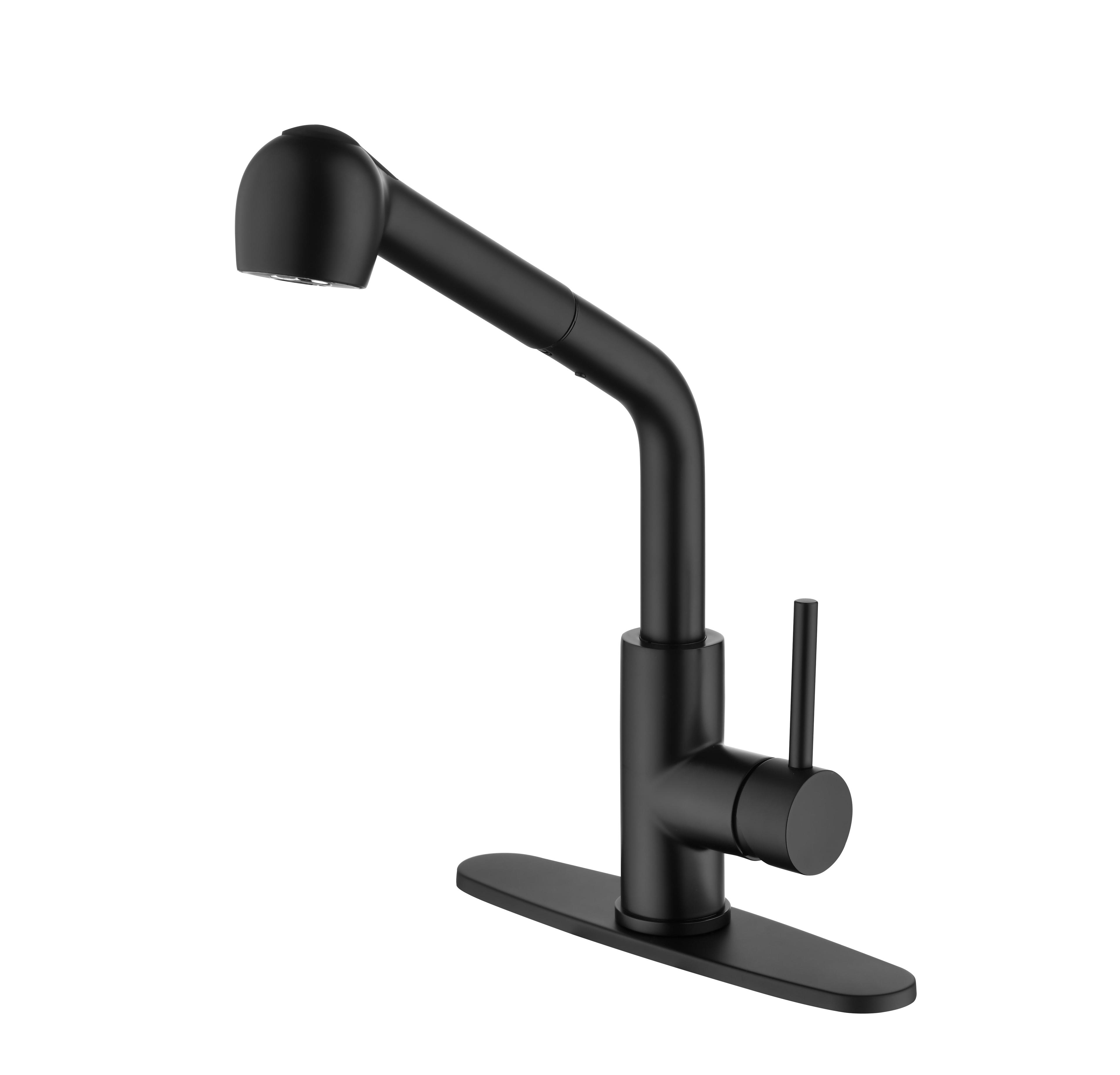 Matte Black Single Handle Pull-Out Sprayer Kitchen Faucet