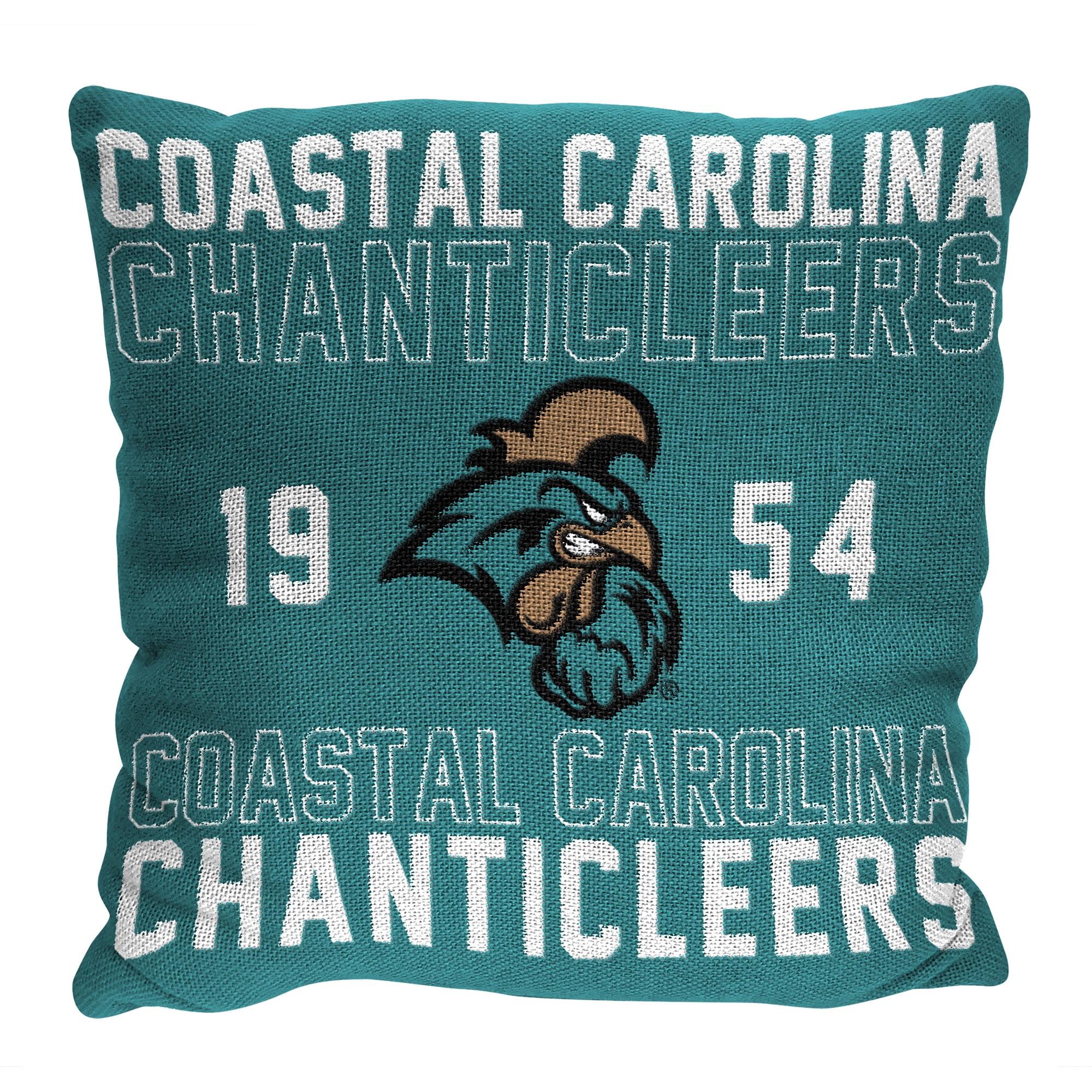 Northwest NCAA Collegiate Stacked Throw Pillow, College Fan Decor, 20x20 Inches