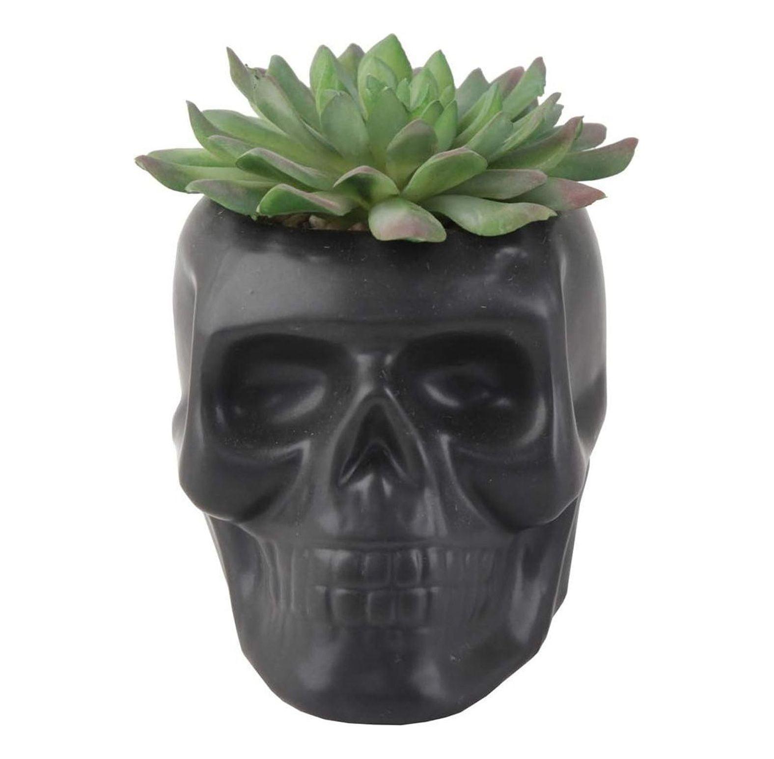 Chic Matte Black Ceramic Skull Succulent Planter, 4.5" x 3.5"