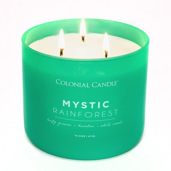 Pop of Color 3-Wick Mystic Rainforests Scented Jar Candle 14.5oz - Colonial Candle