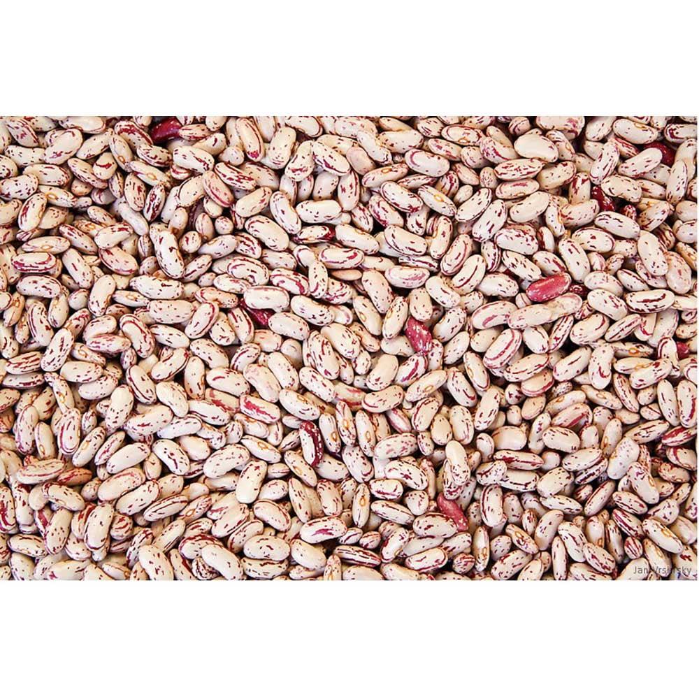 Commodity Beans (Price/Pack)Commodity Triple Clean Pinto Bean 50 Pounds Per Pack - 1 Per Case