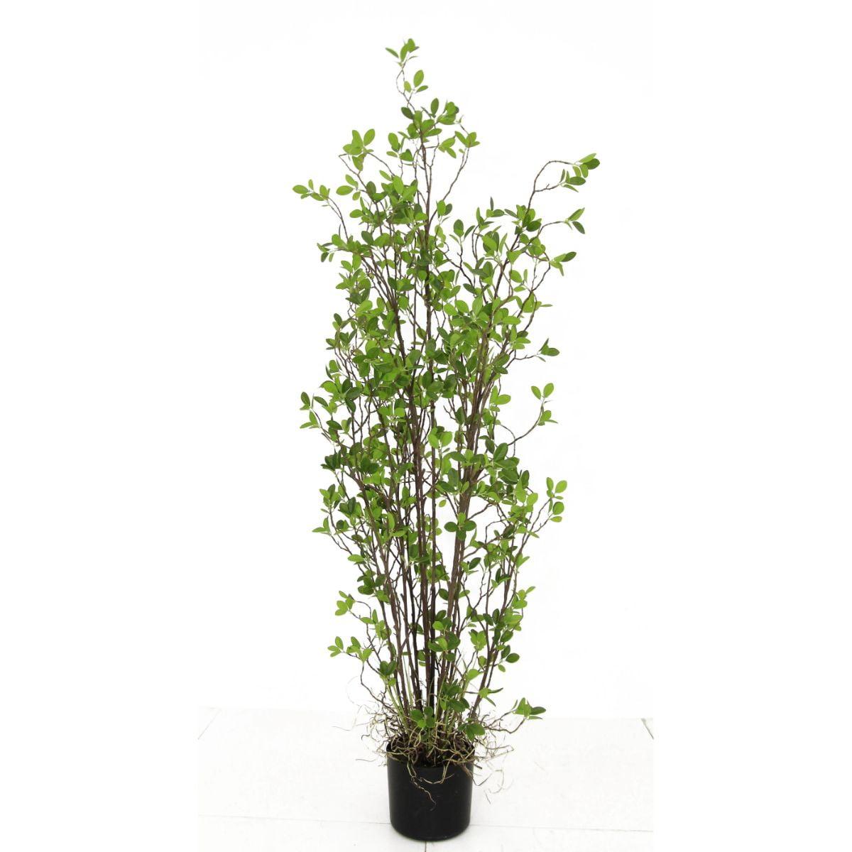 Serene Green 60" Faux Rubber Tree in Sleek Black Pot