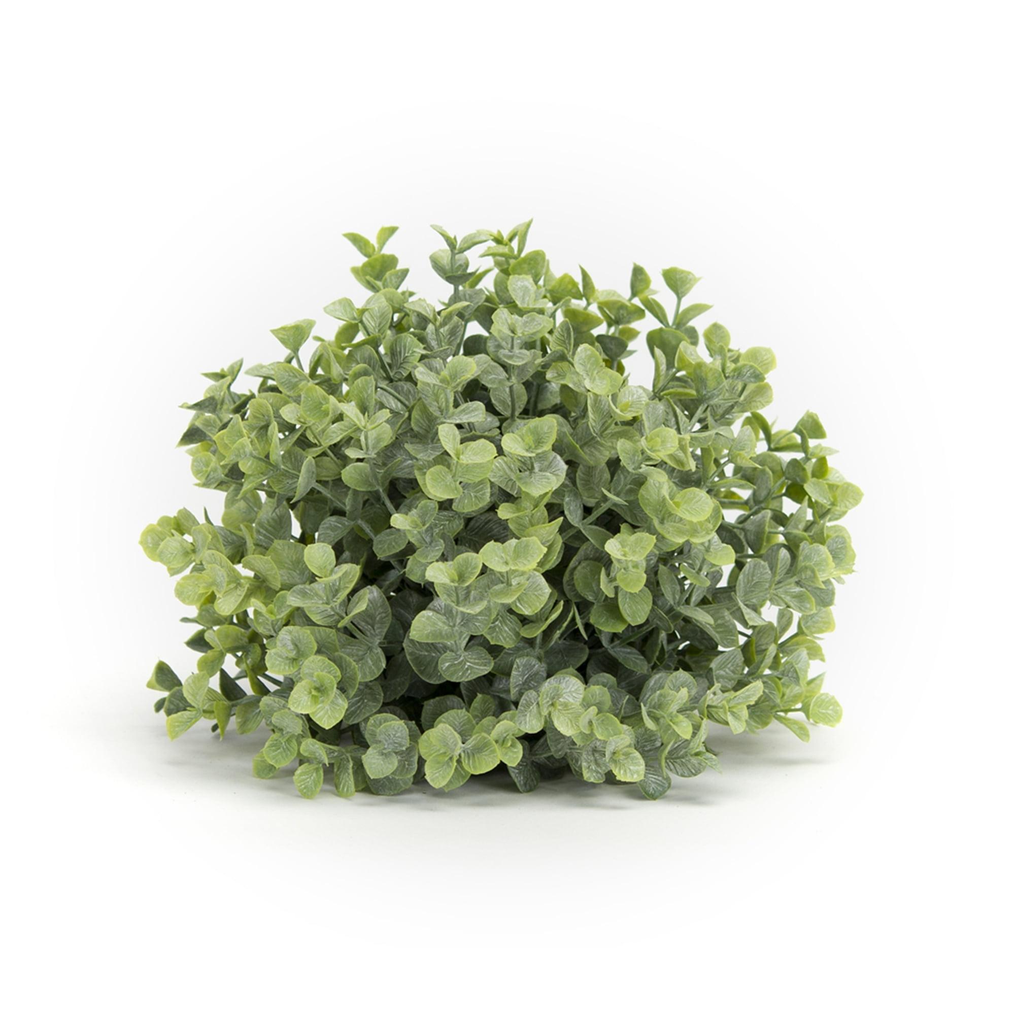 Verdant Tabletop Boxwood Shrub Set, Plastic, 7" Diameter