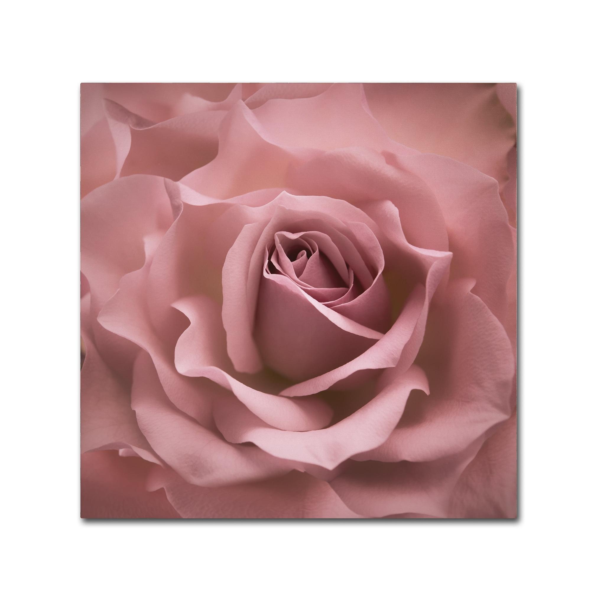 House of Hampton® " Misty Rose Pink Rose " by Cora Niele