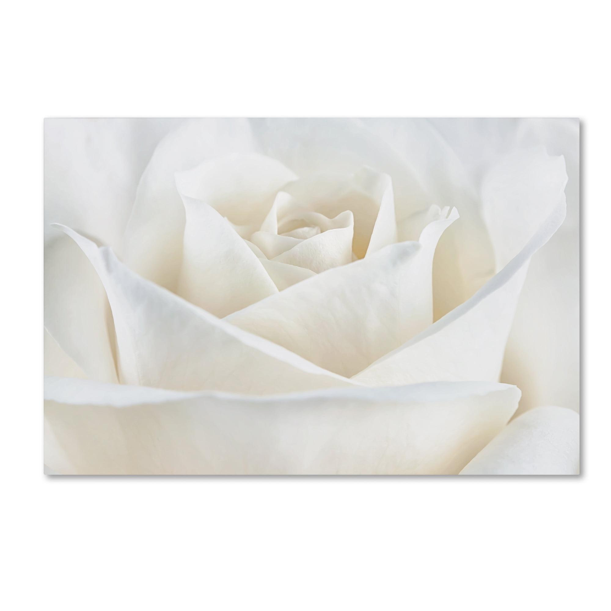 Pure White Rose Abstract Canvas Art for Nursery