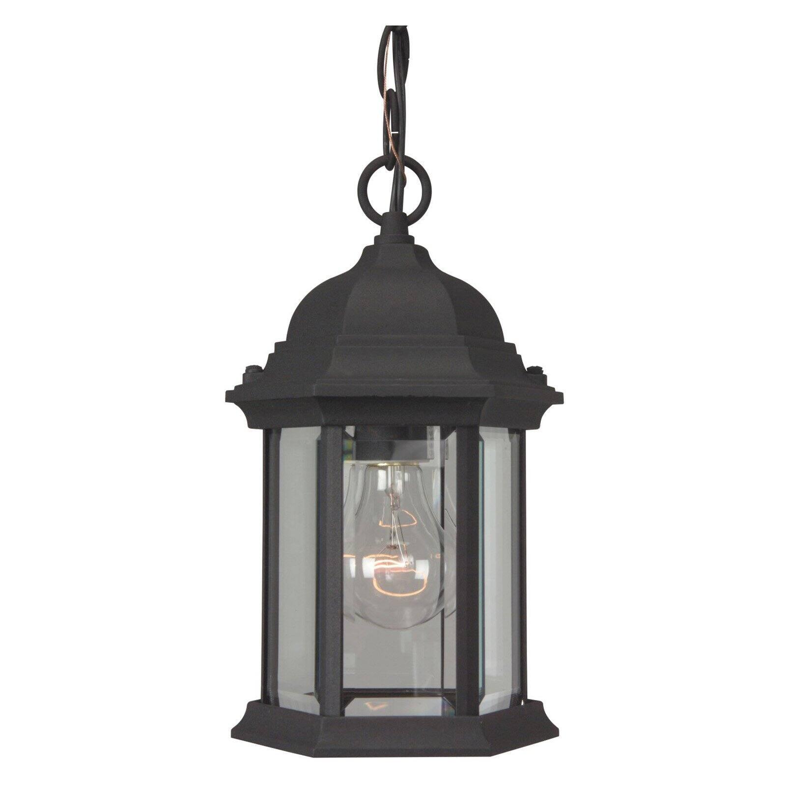 Matte Black Aluminum 1-Light Outdoor Pendant with Clear Glass