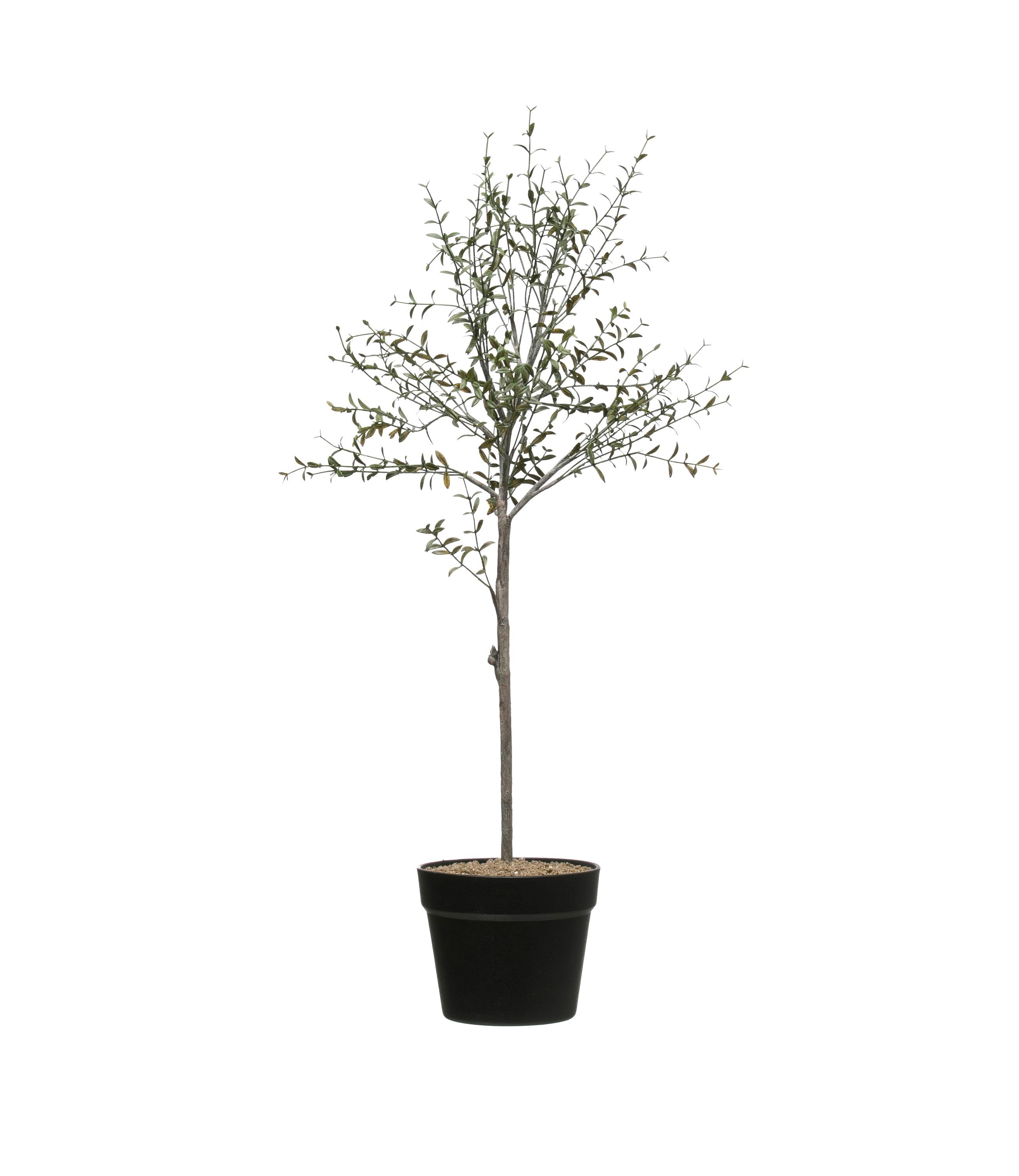 Illuminated Faux Thyme Topiary in White Pot, 30" Tabletop