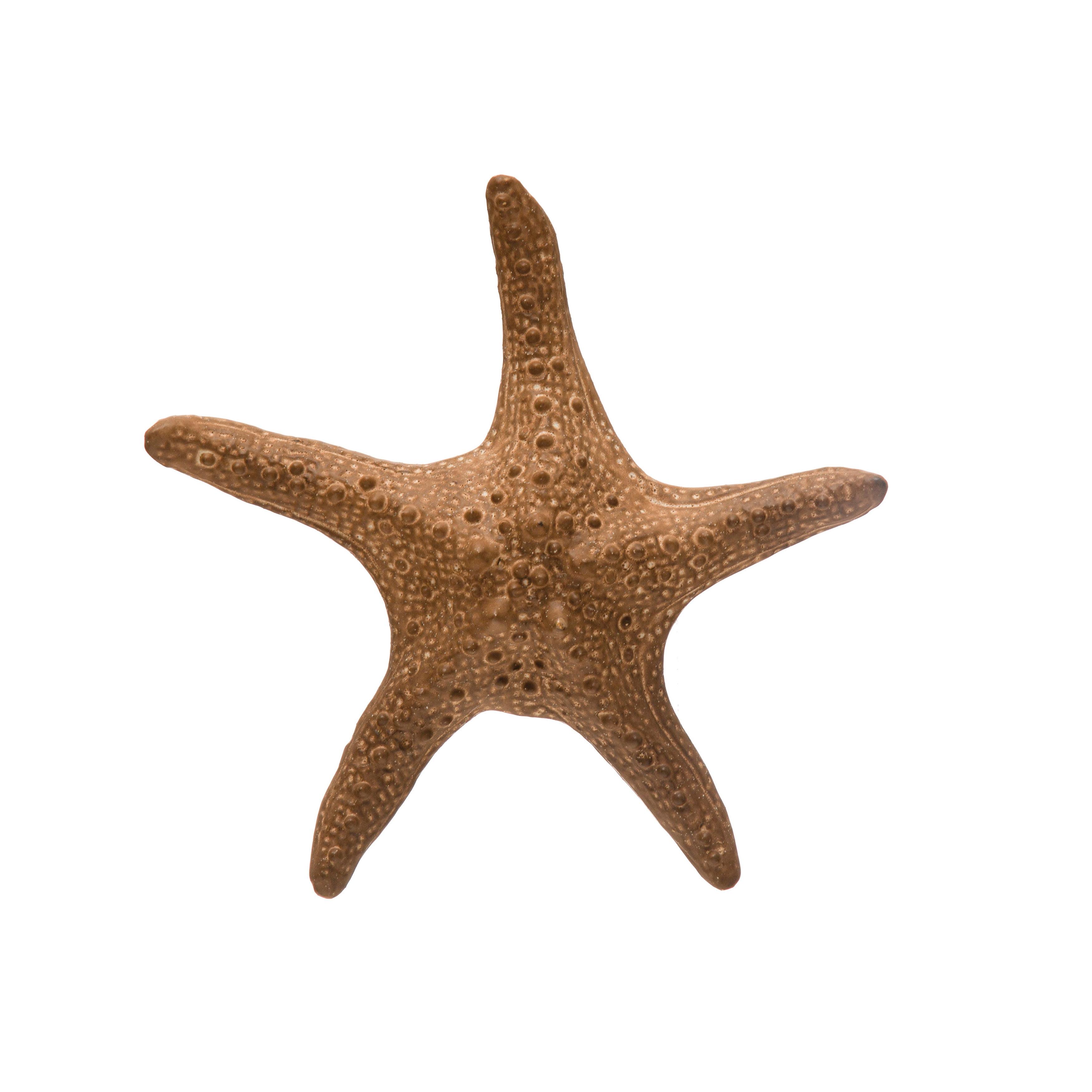 Brown Wooden Starfish Figurine for Kids Room Decor