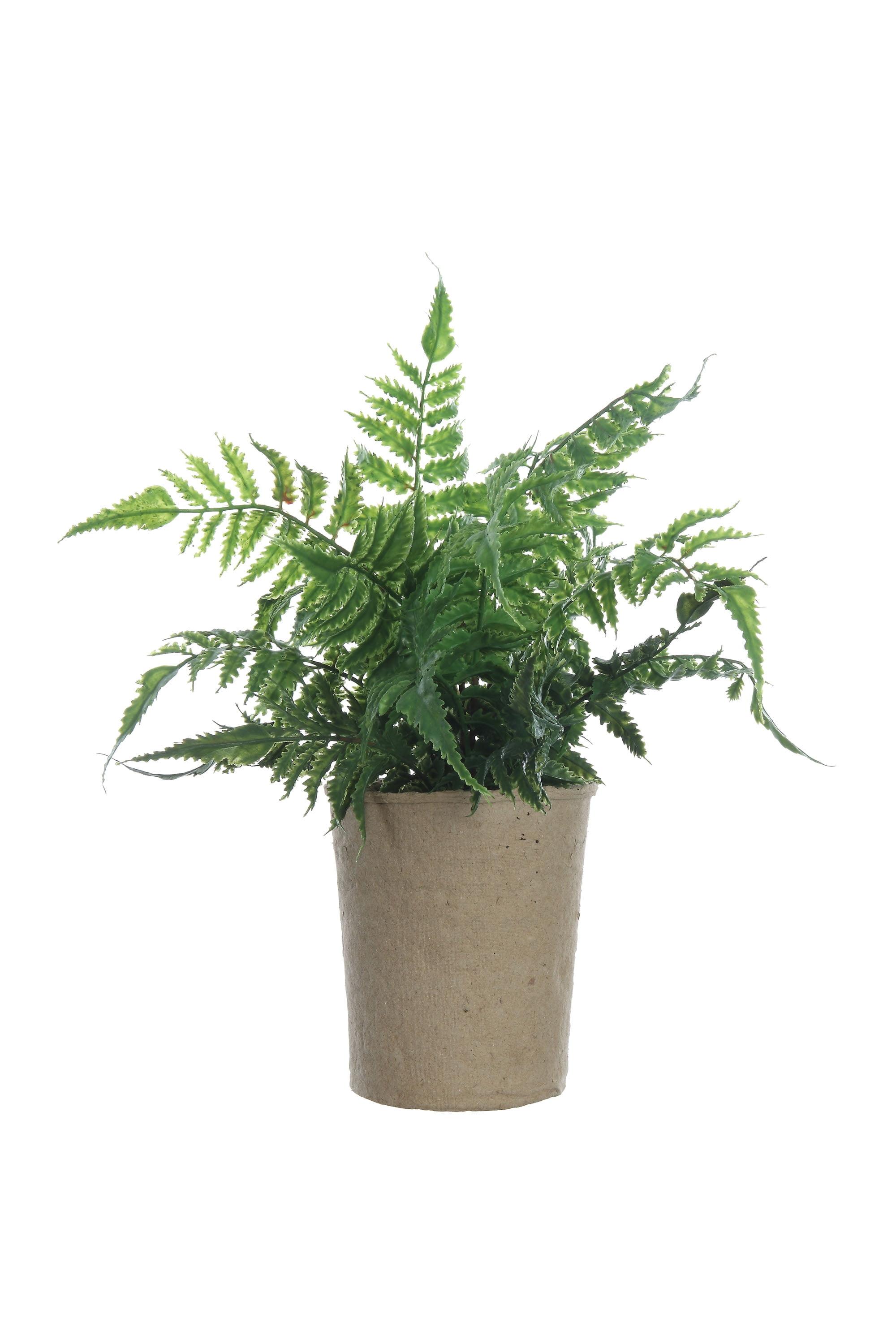 Green Faux Fern in Brown Paper Pot