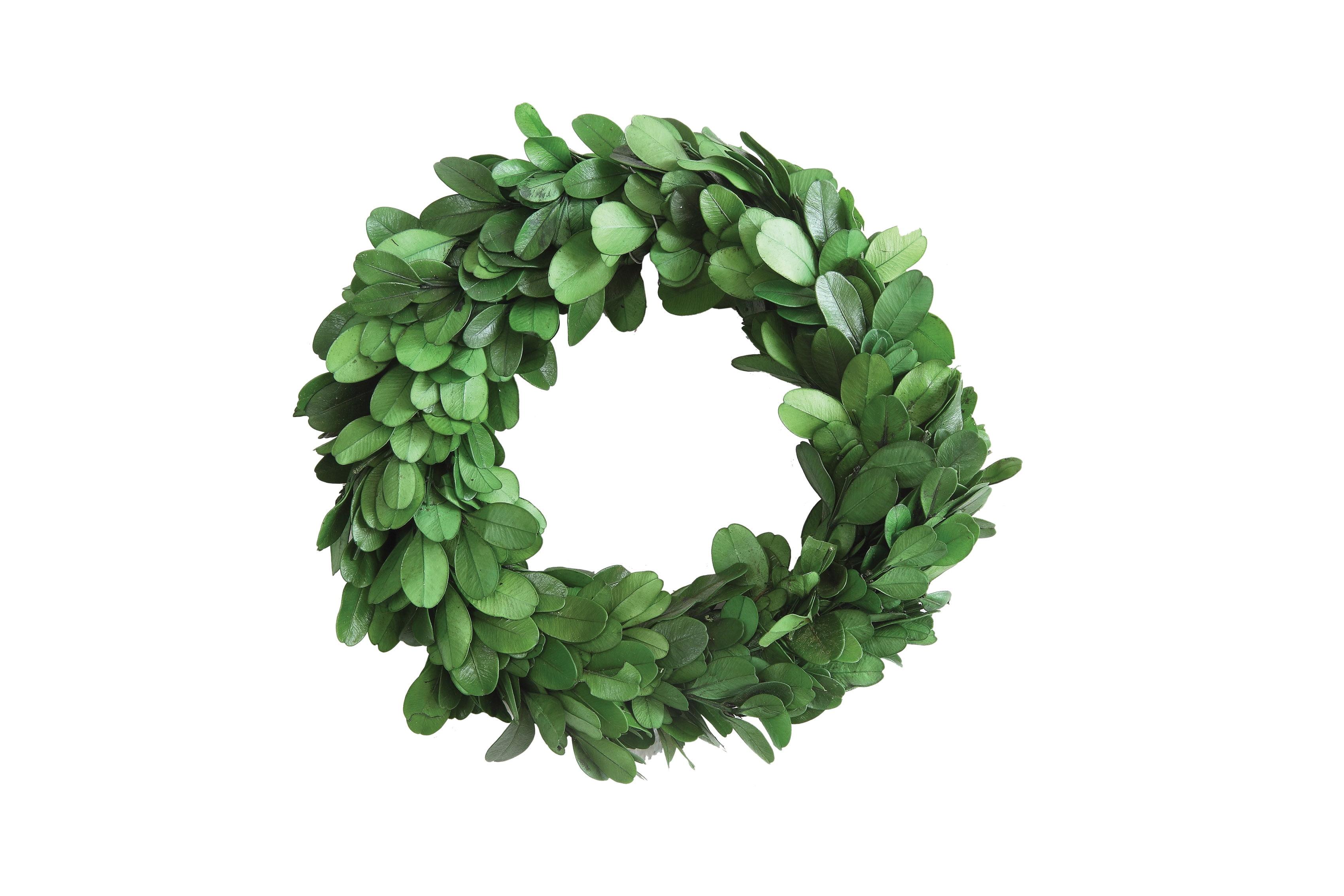 Creative Co-Op Preserved Boxwood Wreath