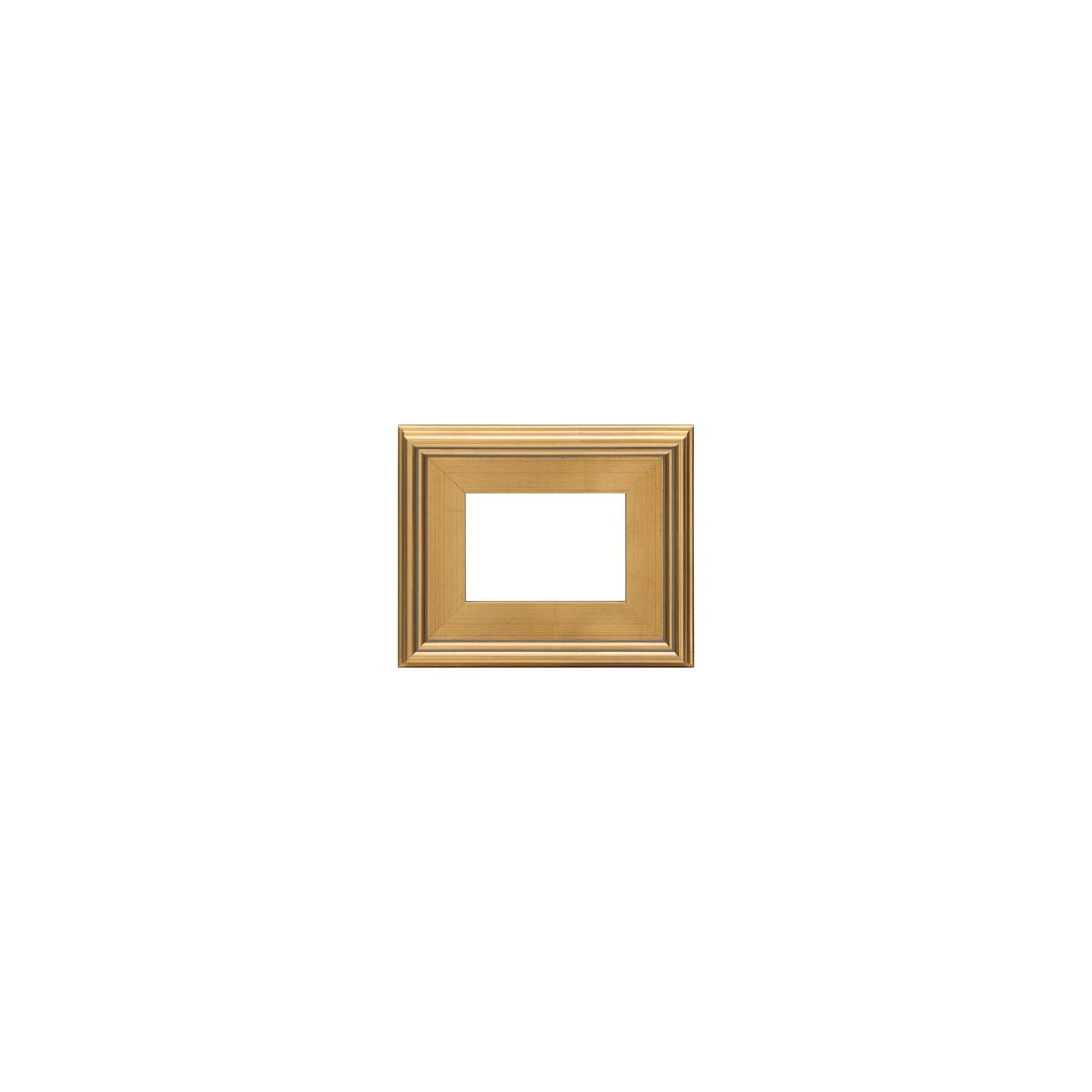 Gold Leaf 5x7 Rectangular Wooden Wall Mount Frame