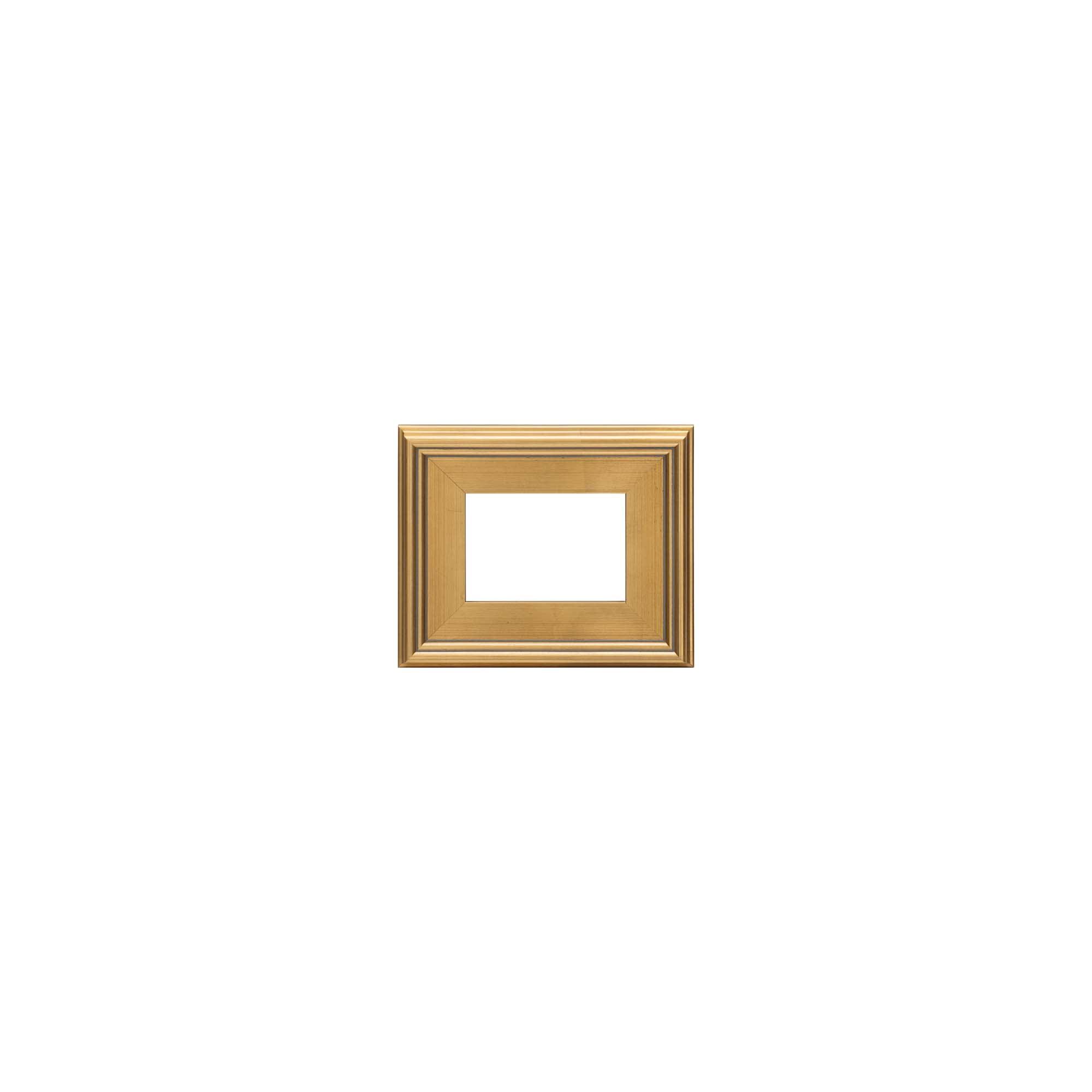 Creative Mark Plein Air Wooden Picture Frame - 5X7 Gold - Professional Single Frame for Art Panels, Stretched Canvas, Pictures and More, glass and backing not included