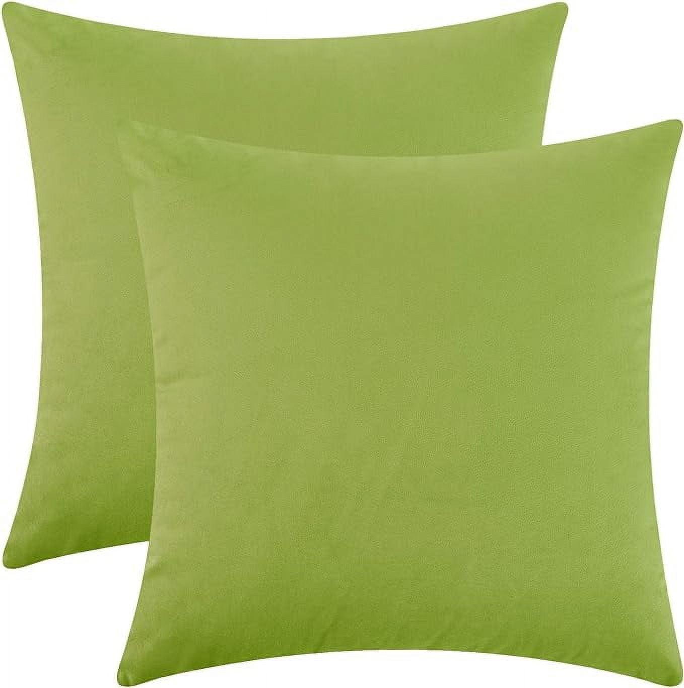 Cterwk Pack of 2 Velvet Decorative Throw Pillow Covers Soft Solid Square Cushion Cover Pillow for Living Room, Bedroom, Office, 20 x 20 inches
