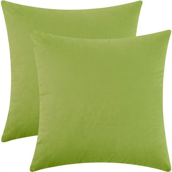 Cterwk Pack of 2 Velvet Decorative Throw Pillow Covers Soft Solid Square Cushion Cover Pillow for Living Room, Bedroom, Office, 20 x 20 inches