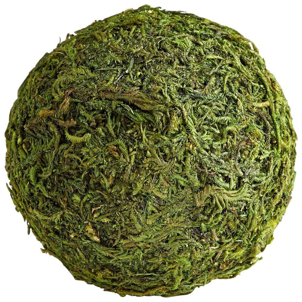 Contemporary Green Moss Sphere 5" Decorative Orb