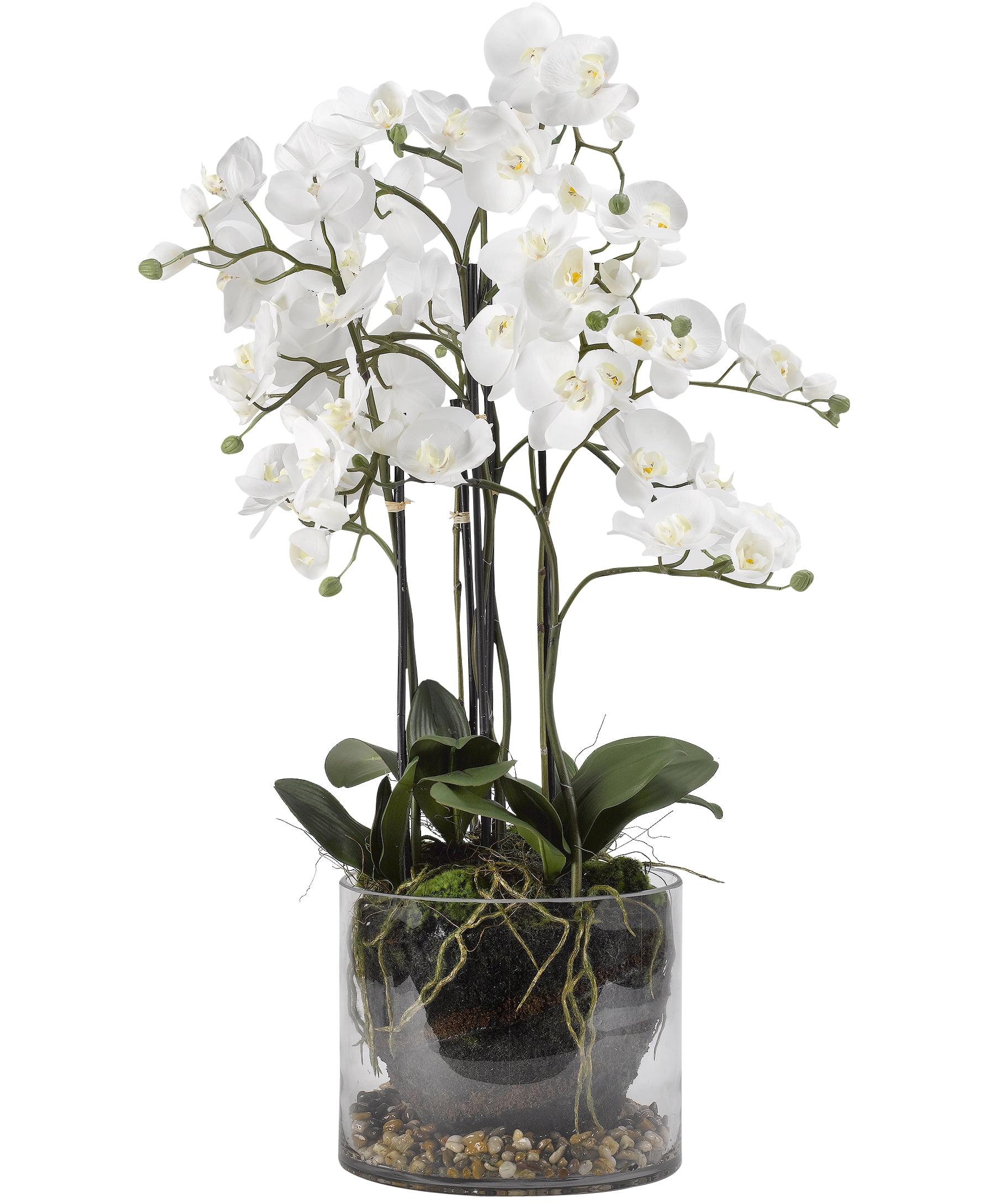D&W Silks - White Orchids in Glass Dish