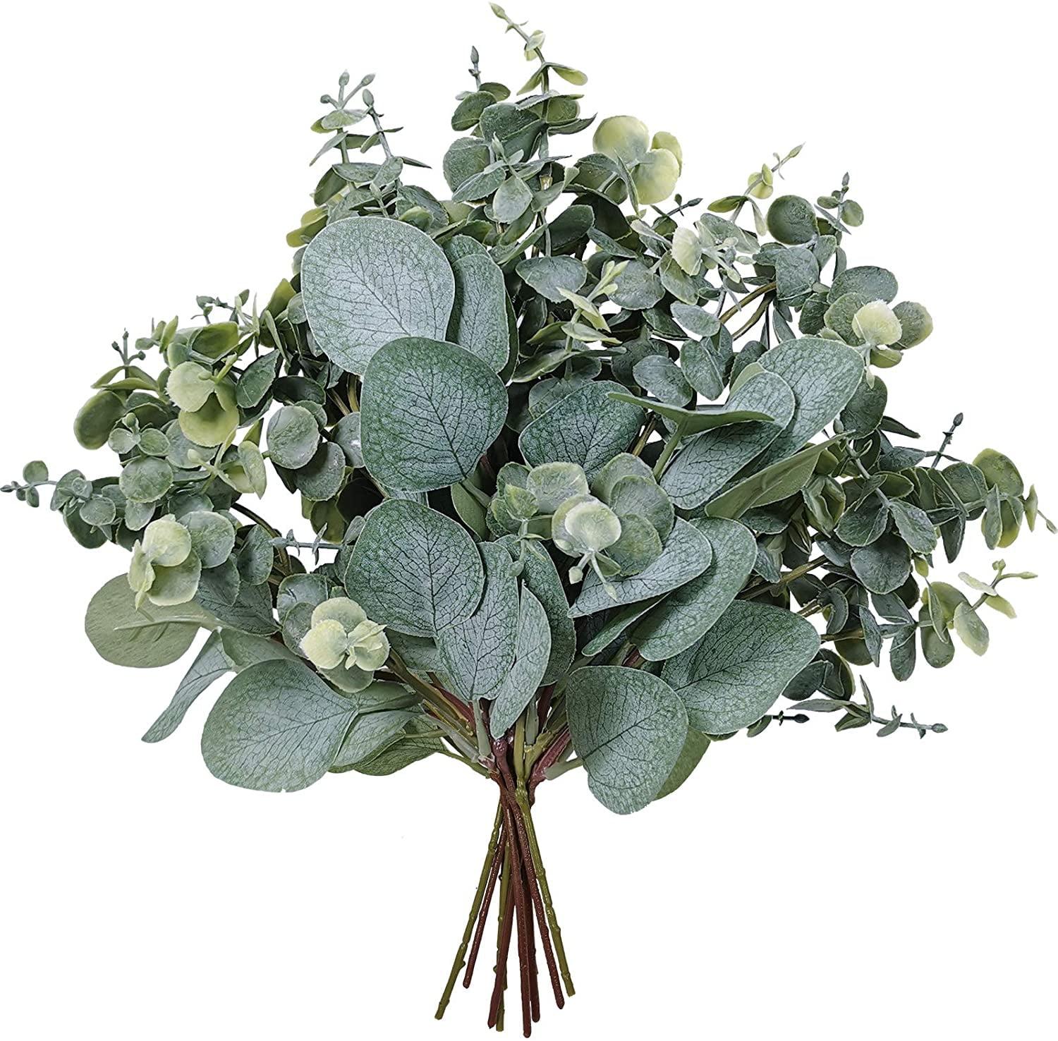 ToccoLeggero 10 Pcs Mixed Eucalyptus Leaves Stems Bulk Artificial Silver Dollar Picks Faux Branches For Vase Bouquets Floral Arrangement Wreath Farmhouse Rustic Greenery Decor
