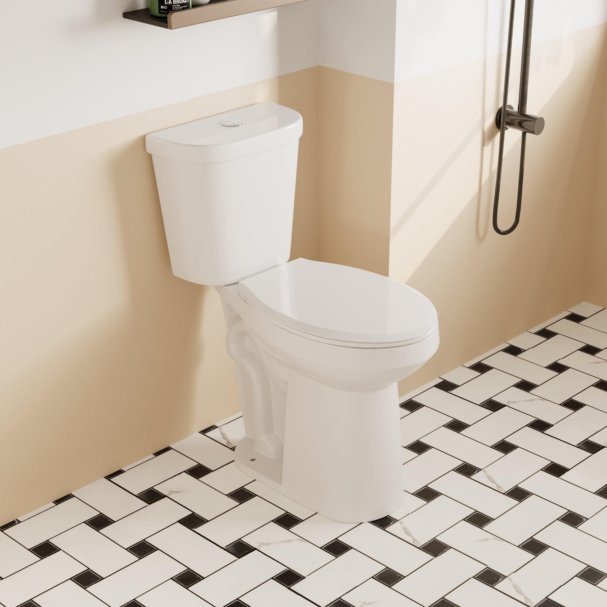 21'' White Ceramic Dual-Flush Elongated Two-Piece Toilet with Seat