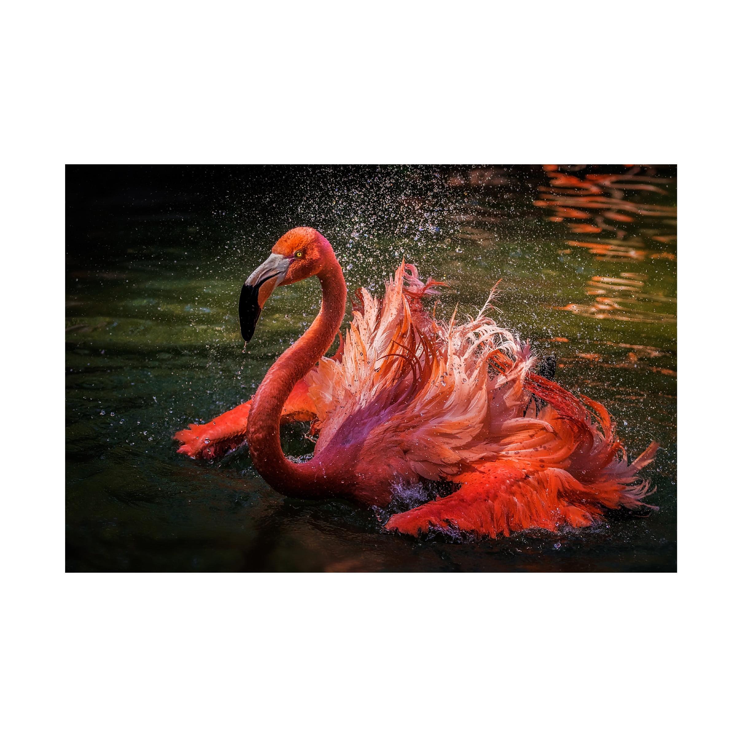 David H Yang 'Angry Flamingo' Canvas Art